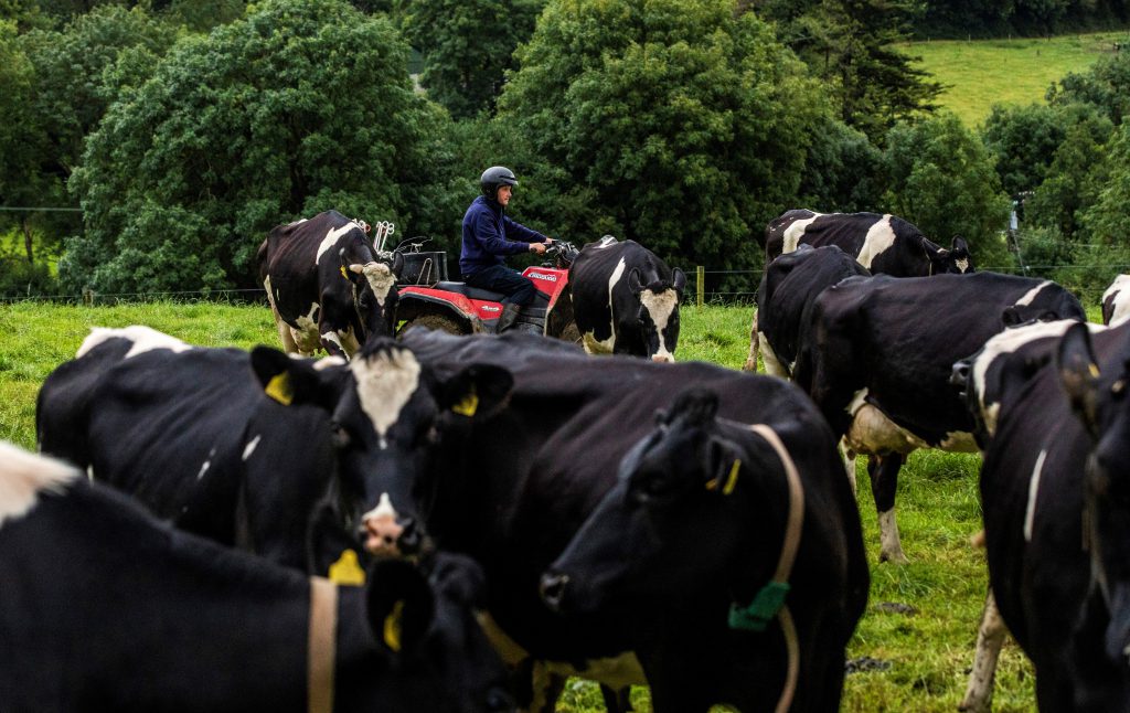 Image source: Clare Keogh