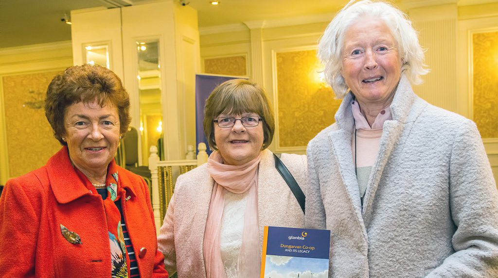 L-R: Mary Beresford; Breda Walsh; and Clare Morrissey. Image source: Sean Byrne
