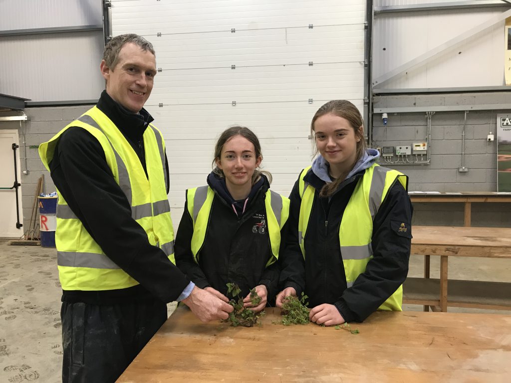 Damien Fewer identifying weeds with Aisling Keegan from Athy, Co. Kildare and Louise Treacy from Castledermot, Co. Kildare