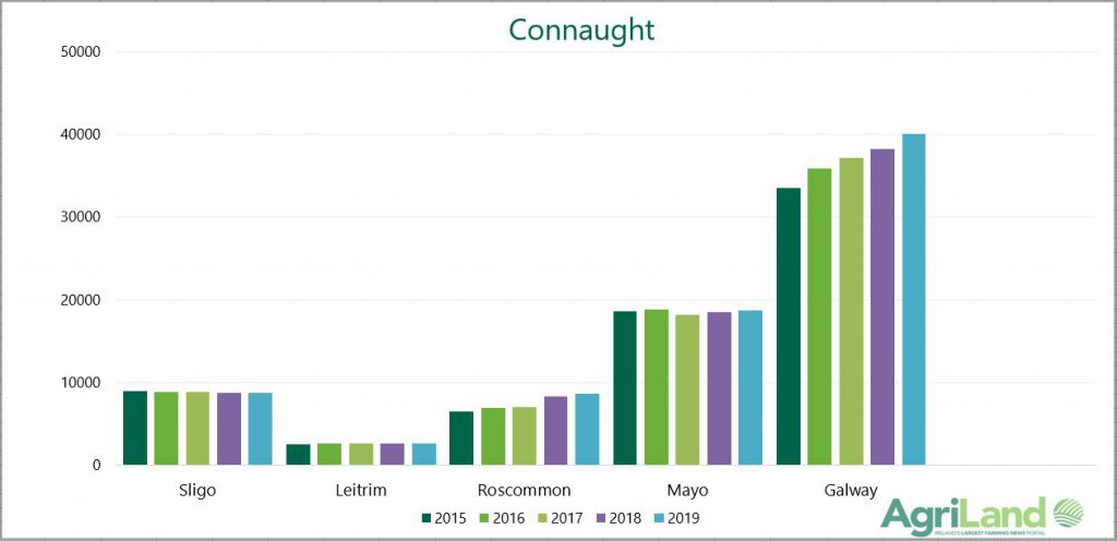 Graph four: Year-on-year growth in dairy cow numbers in Connaught