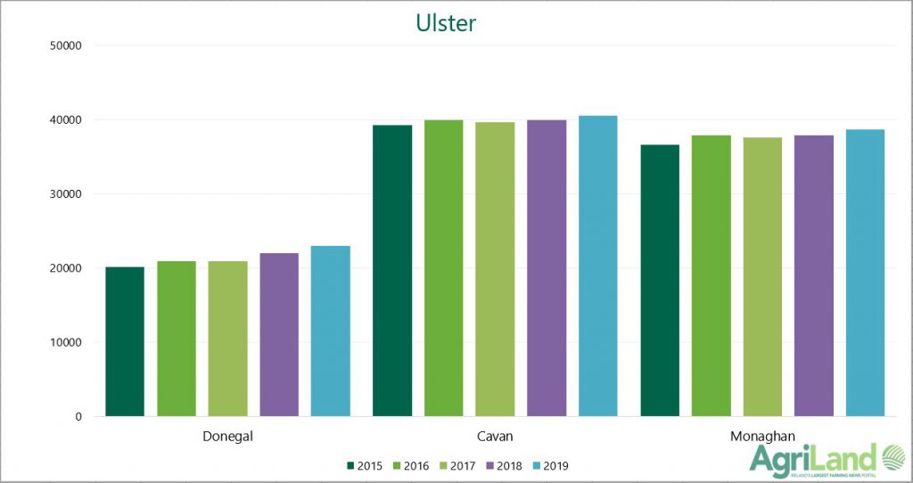 Graph one: Year-on-year growth in dairy cow numbers in Ulster