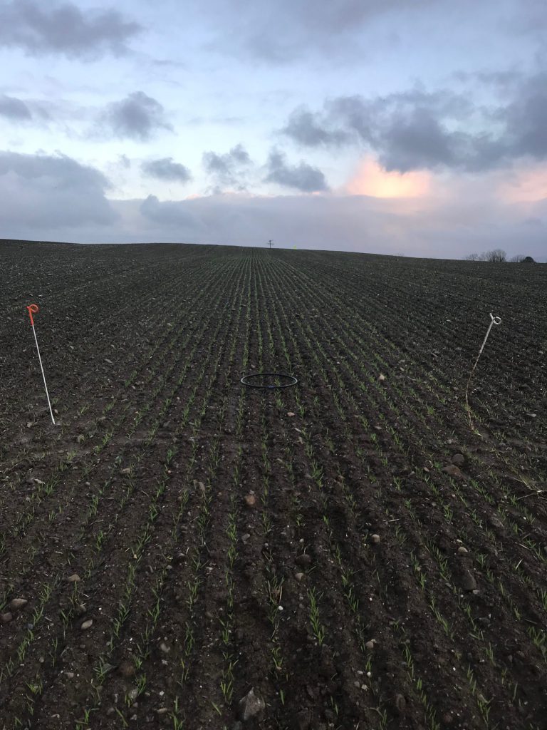 Craft drilled at 170kg/ha