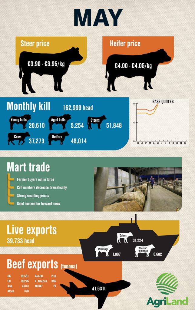 *Middle East and North Africa