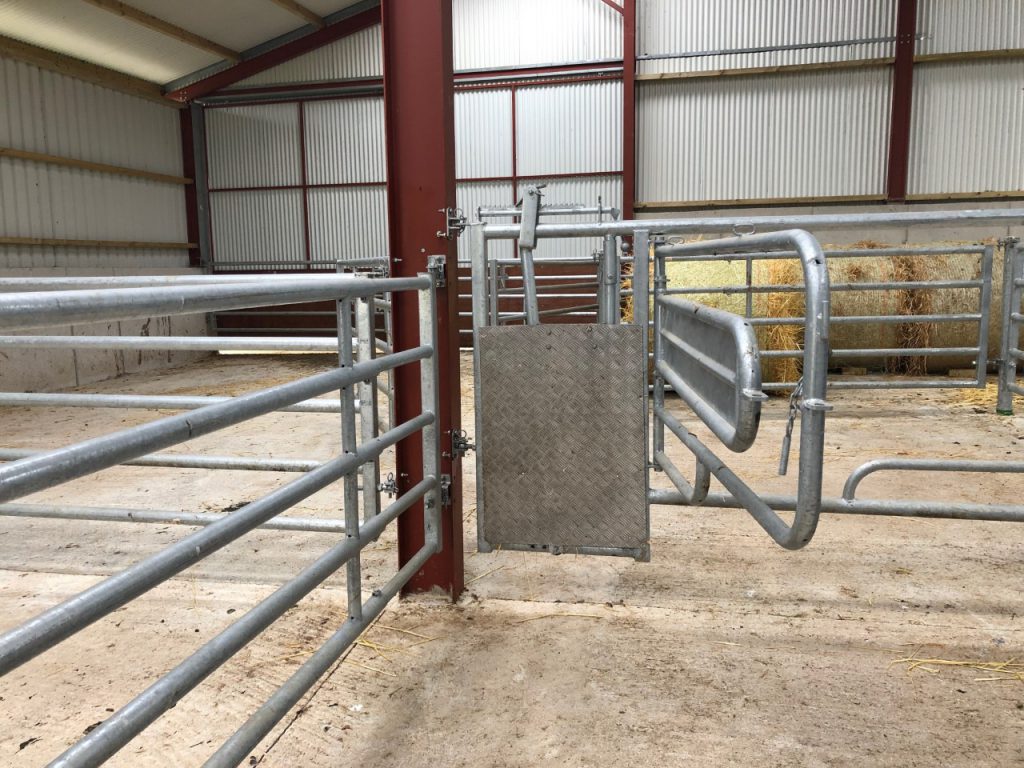 3-in-1 calving gate