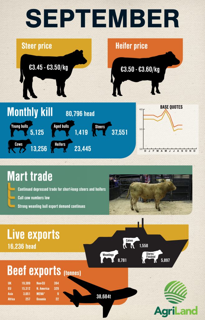 *Middle East and North Africa