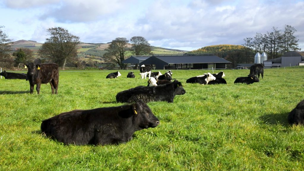 One of ABP’s R&amp;D farms in Clonegal, Co. Carlow