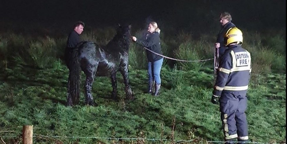 Image source: An Garda Síochána