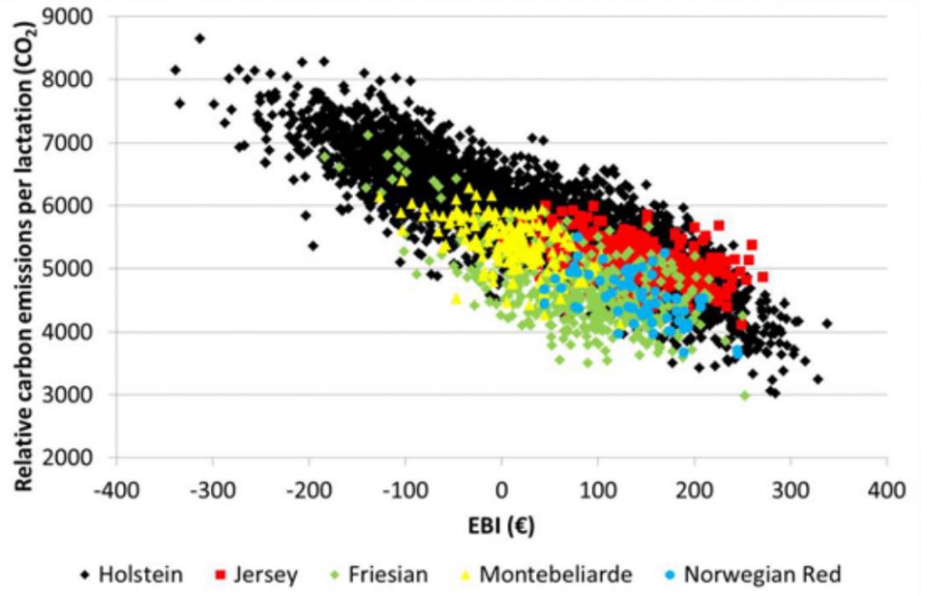 Image source: Teagasc