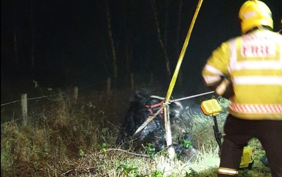 Image source: An Garda Síochána