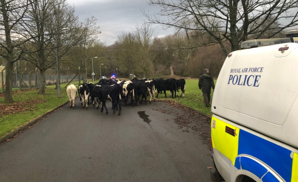 Image source: RAF Shawbury