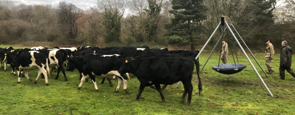 Image source: RAF Shawbury