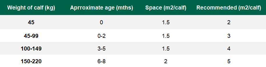 Space allowance for group-housed calves