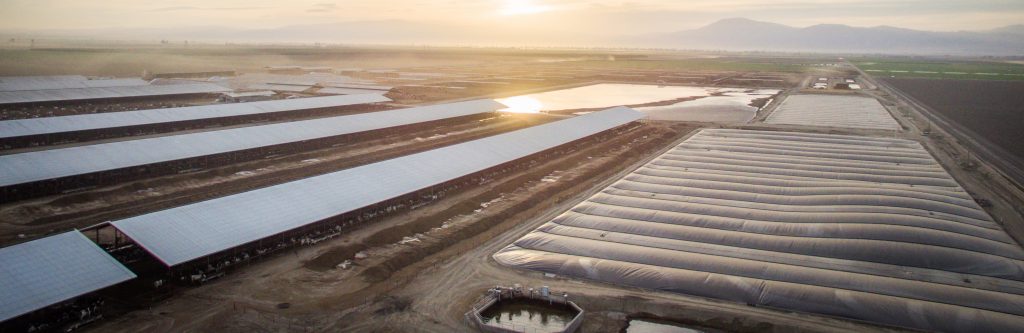 Image source: Dairy Cares