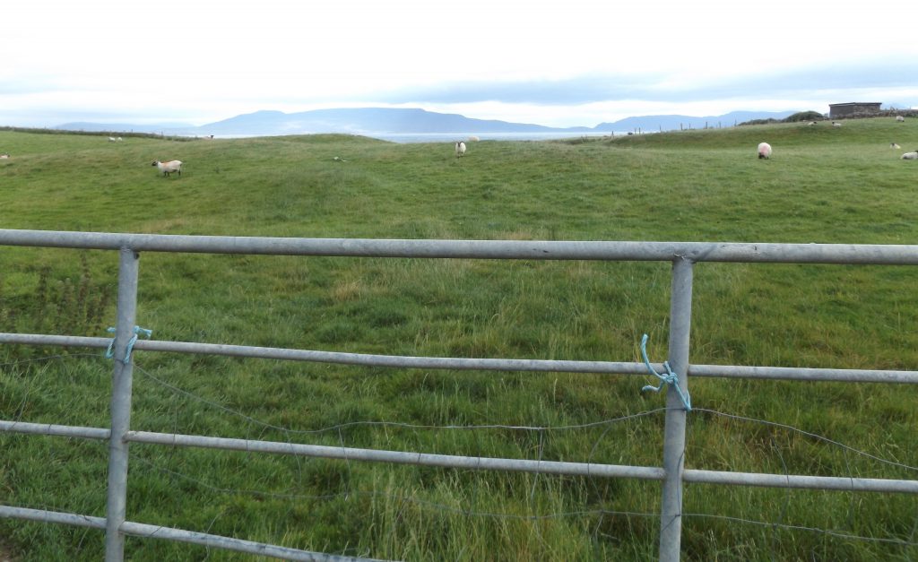 Image source: FM Auctioneers