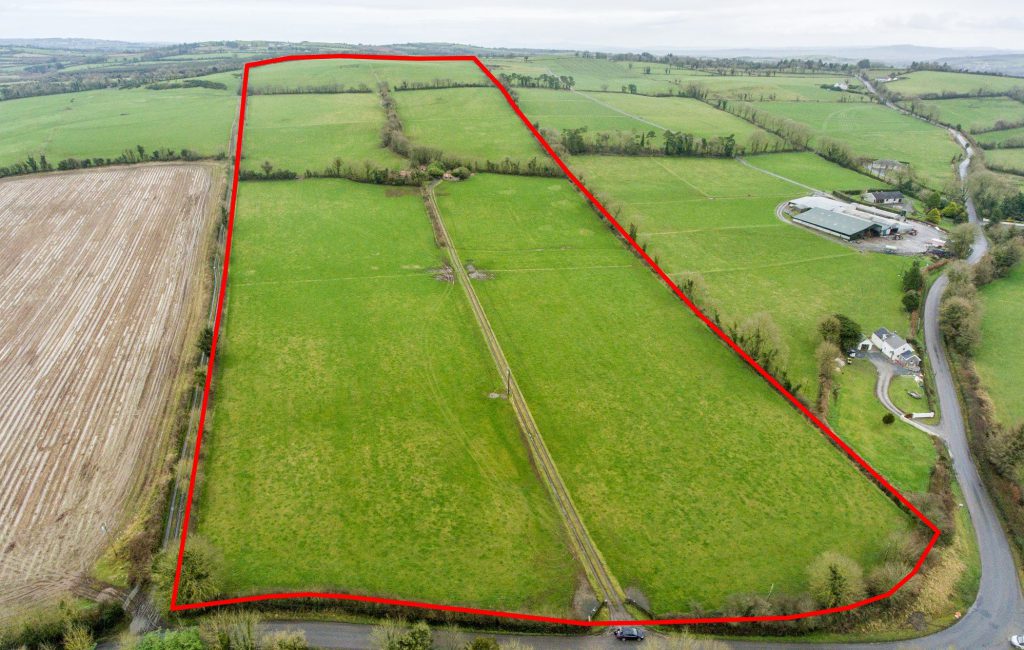 Land at Kilkennybeg, Killenaule, Co. Tipperary. Image source: P. F. Quirke &amp; Co. Ltd
