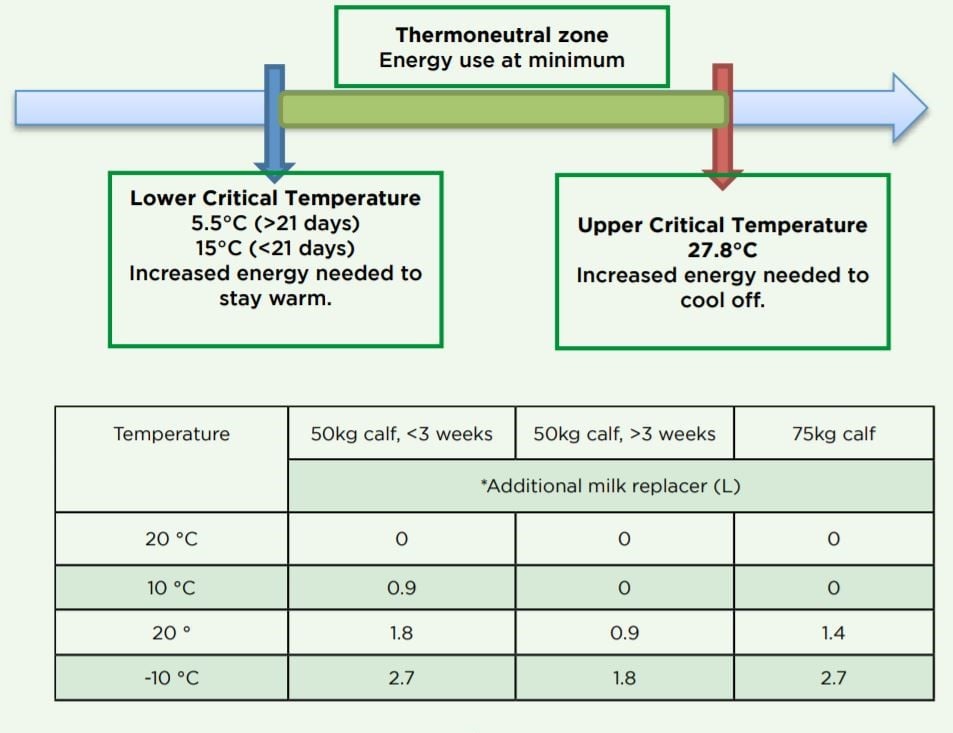 *20% protein, 20% fat milk replacer mixed at 125g/L. Provided the calves are dry, well-bedded and kept out of draughts. Image source: Teagasc
