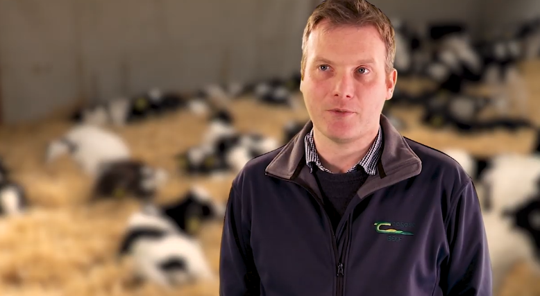 Teagasc’s Dairy Beef 500 programme coordinator, Alan Dillon