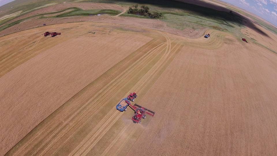 Image source: Demaray Harvesting and Trucking