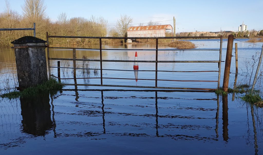 Flooding in the Athlone region today (Sunday, March 1). Image source: AgriLand
