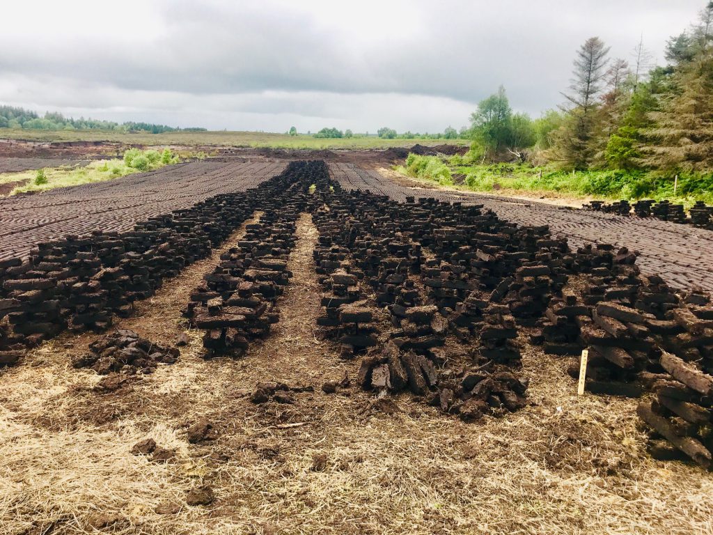 Image source: AgriLand