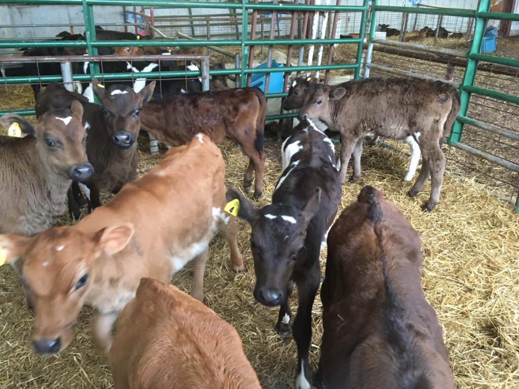 Image source: Bernard Ryan