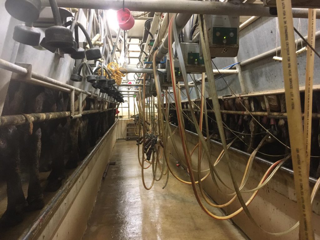 Image source: Bernard Ryan