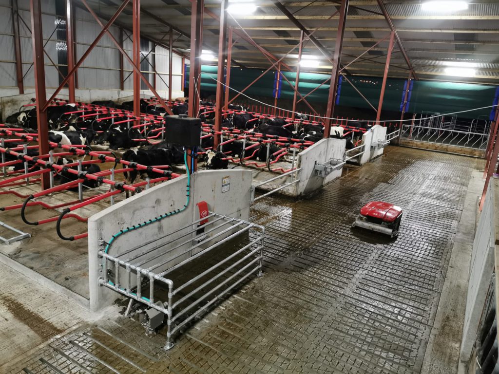 Image source: Liam Delaney