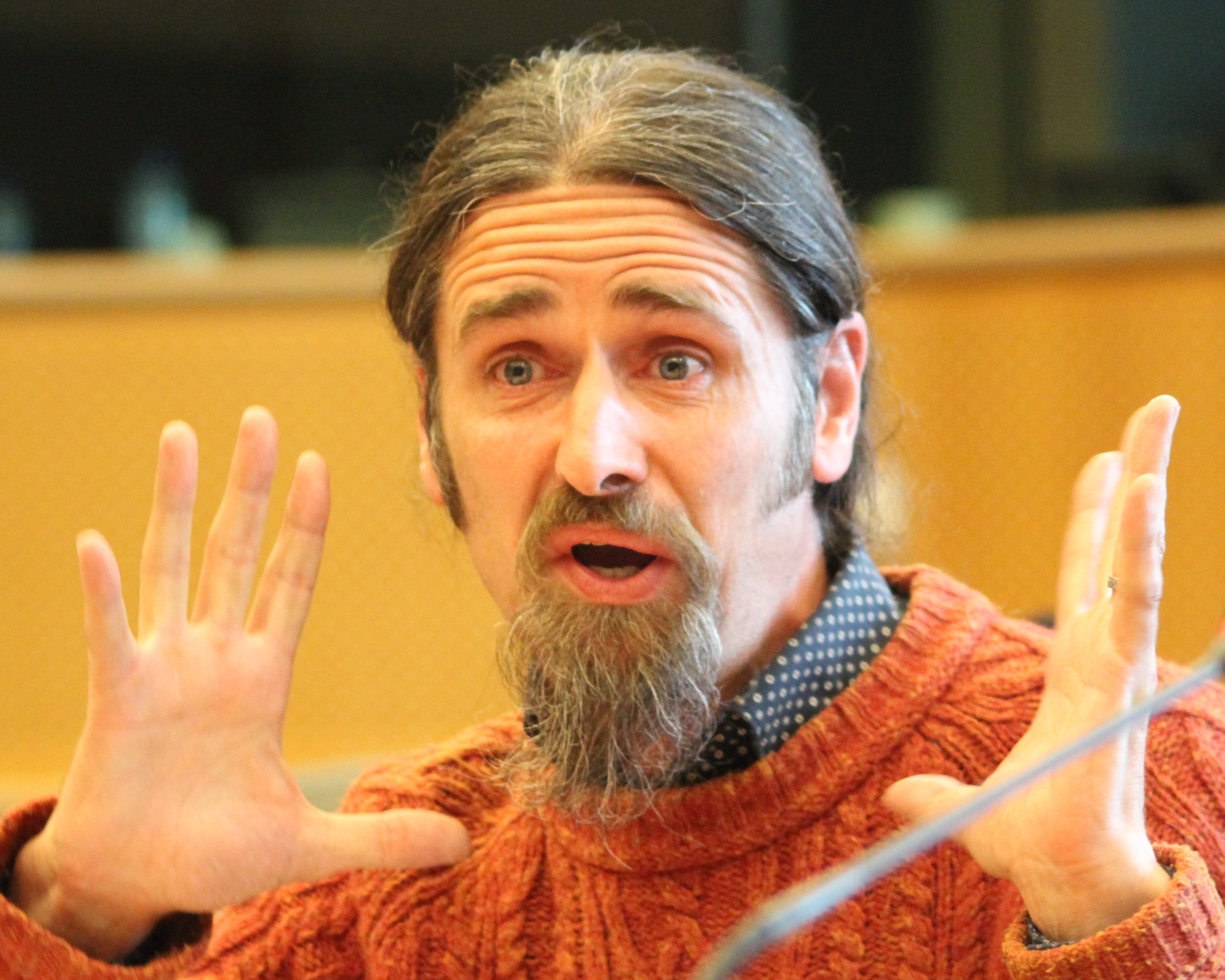 MEP Luke 'Ming Flanagan