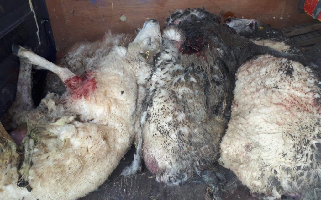 Image source: Meath Crime Prevention