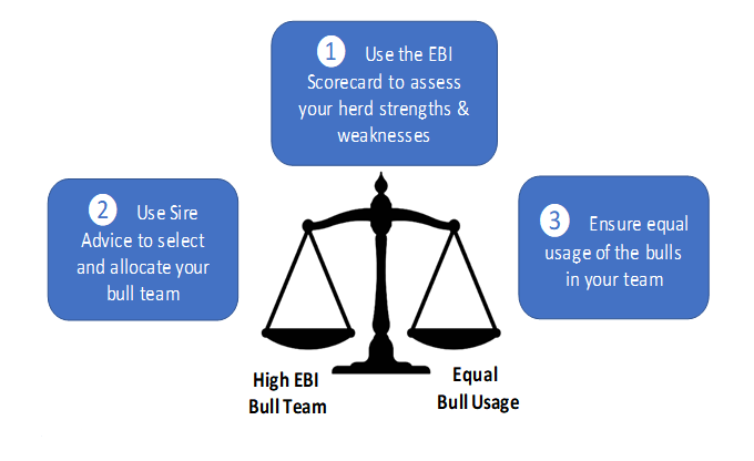 Figure 1: Three-step process
