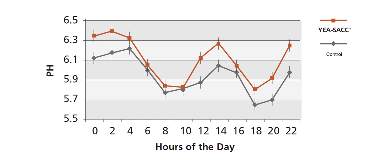 Figure 1. Effect of Yea-Sacc® supplementation or control on rumen pH (P&lt;0.01)