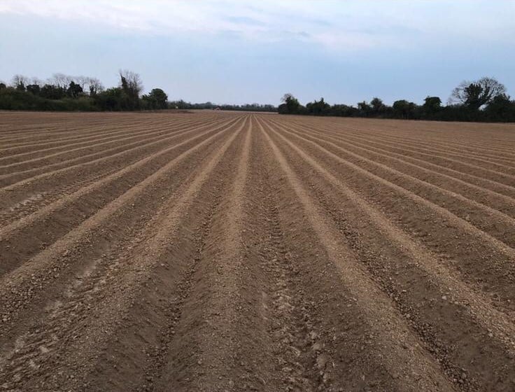 A field of Rooster potatoes after planting in Co. Meath. Image source: Jayne Smyth, Glanbia
