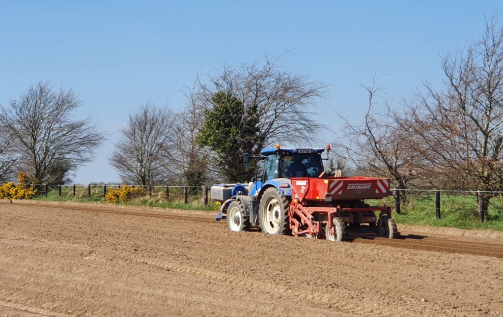 Planting potatoes. Image source: Ollie Whyte