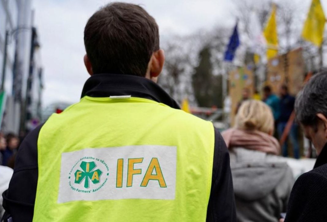 Image source: IFA
