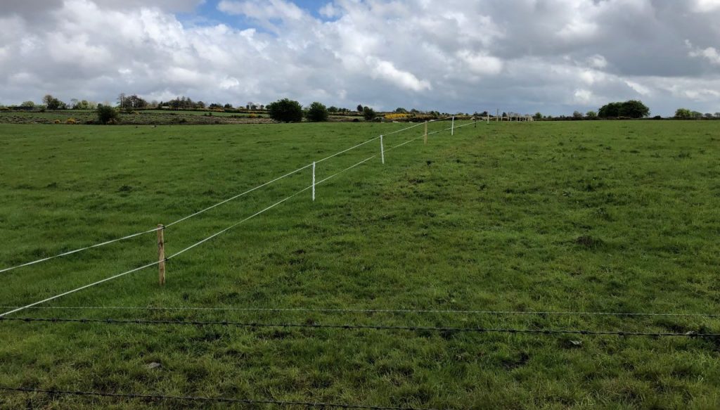 Temporary fencing set up on a sheep farm