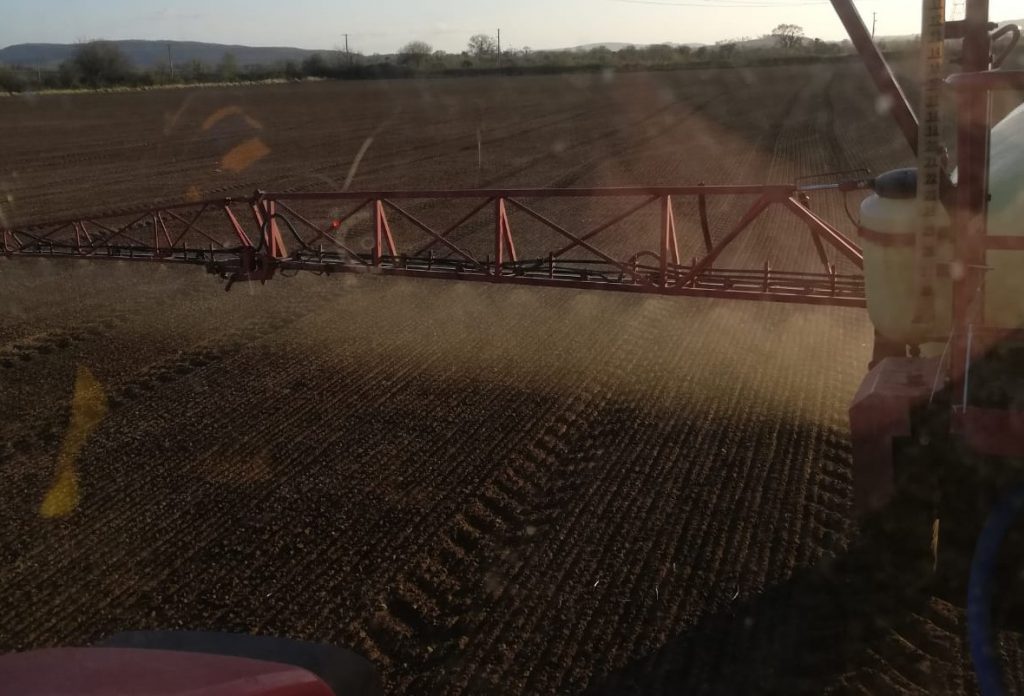 Image source: Bobby Miller