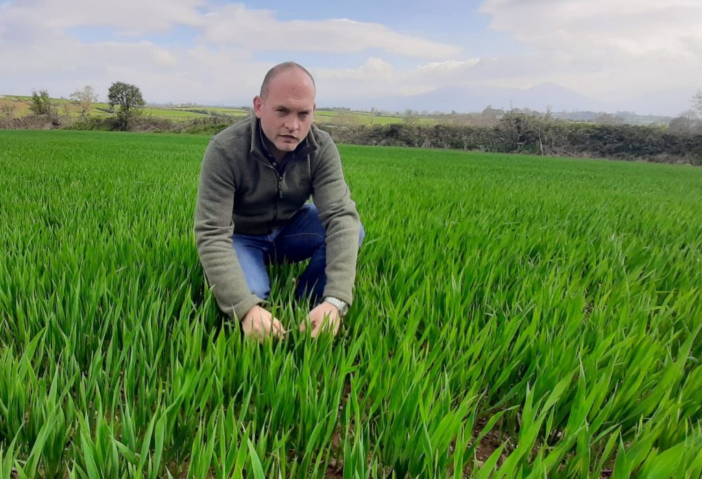 Tim McCarthy is an agronomist with Dairygold