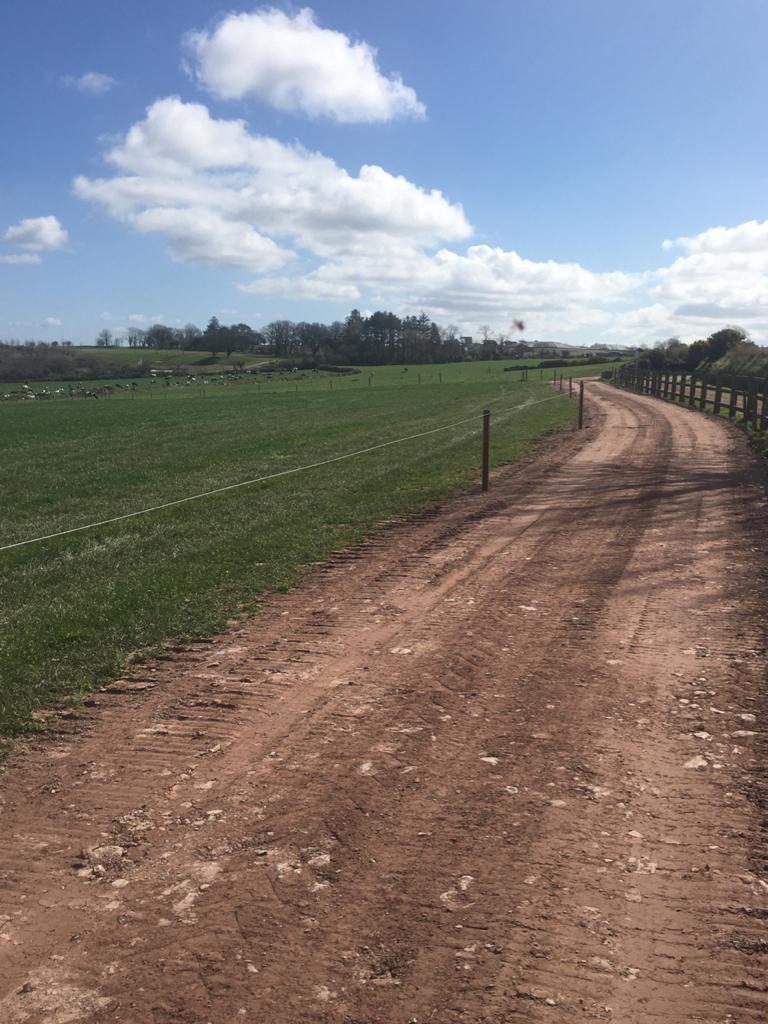 Image source: David Noonan