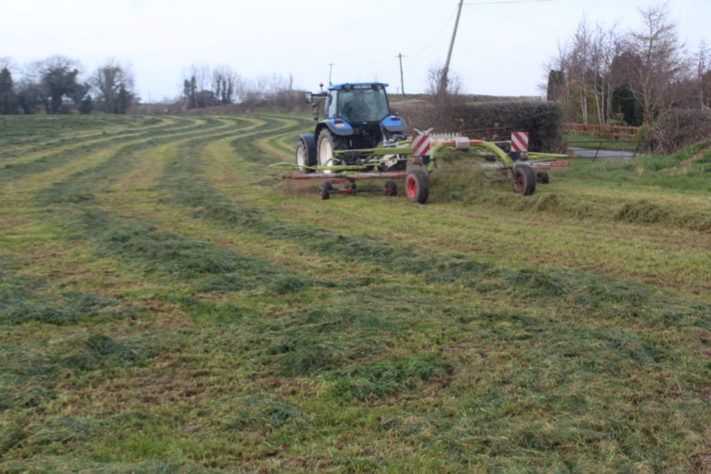 Image source: Martin Hanley