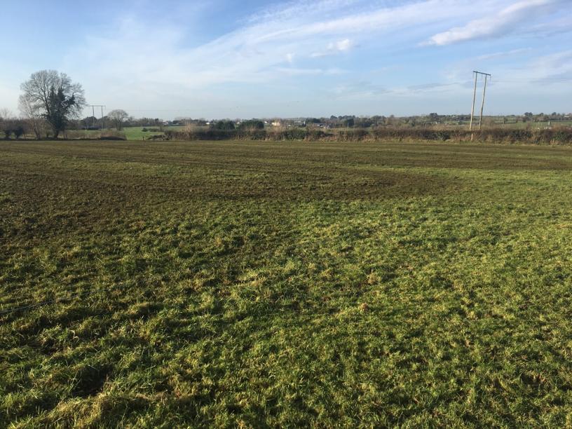 Slurry was spread on paddocks earmarked for silage
