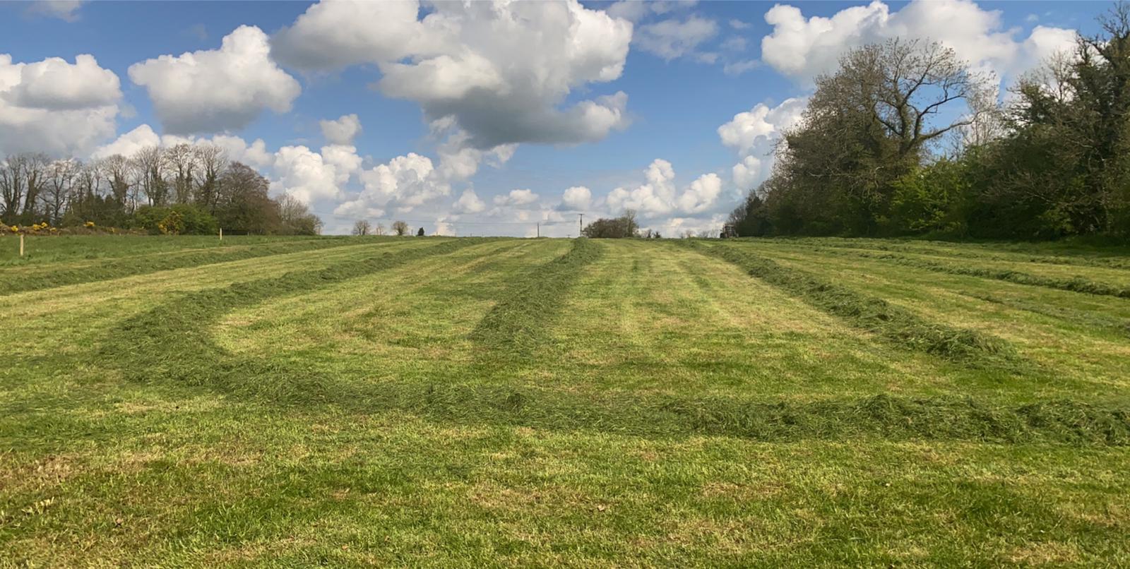 Ideal time to lime when surplus bales are picked up