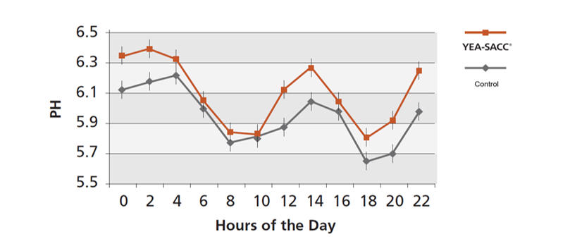 Figure 1. Effect of Yea-Sacc supplementation or control on rumen pH (P&lt;0.01)
