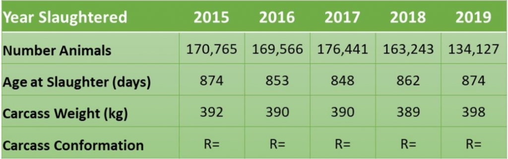 Slaughter performance of suckler-bred steers born in BDGP herds and slaughtered from 2015 to 2019. Data source: ICBF