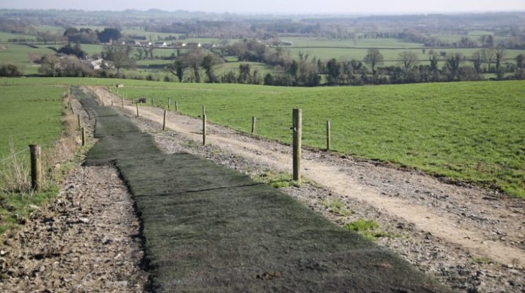 Astroturf rolled out on a roadway on a dairy farm