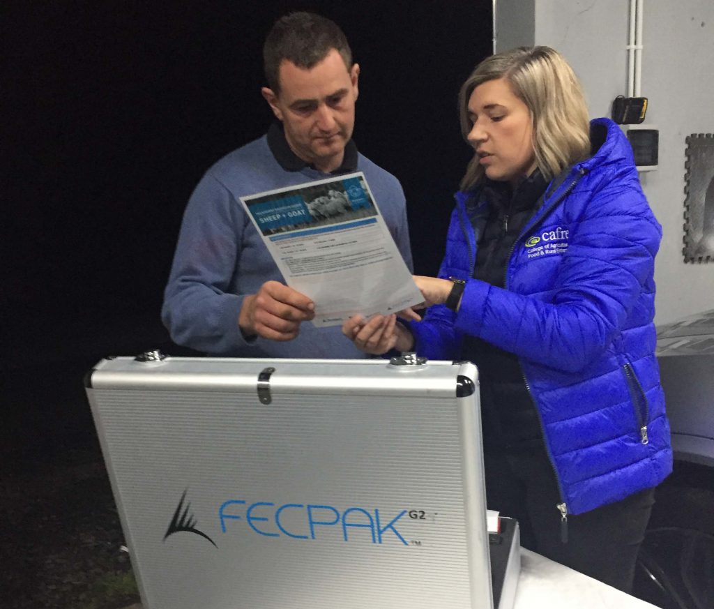 Rachel Megarrell CAFRE beef and sheep adviser interprets FEC results for Sheep Business Development Group member Mark McCullough, Ballymena. Image taken before the current Covid-19 pandemic