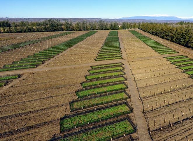 A Cherasco Method farm with each pen having separate zones for breeding and fattening