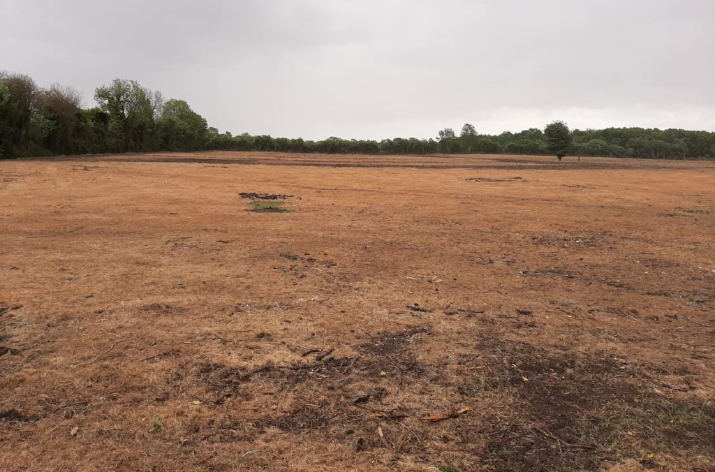 5ac of ground burned off which will be sown with a Typhon and grass mix