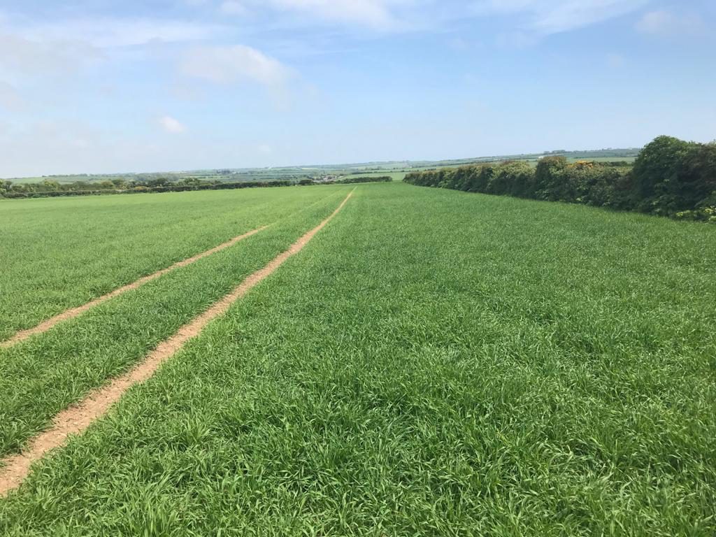 Image source Mark Hosford, Southern Fuels and Farm Supplies