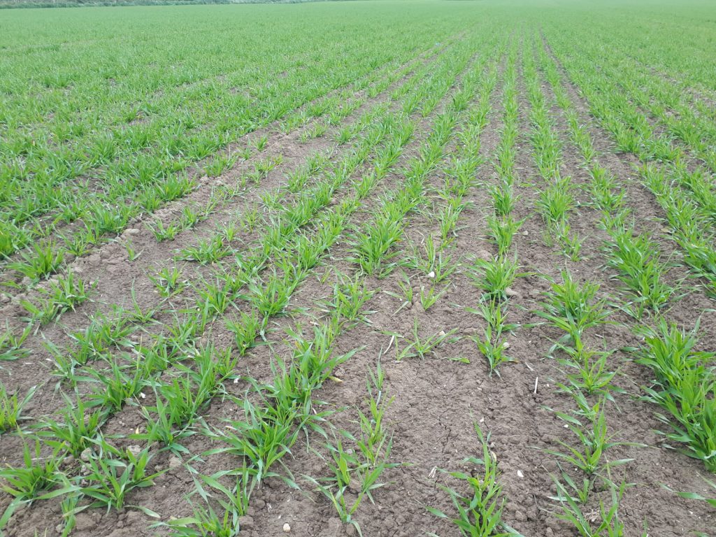 Image source: Tim Sheil