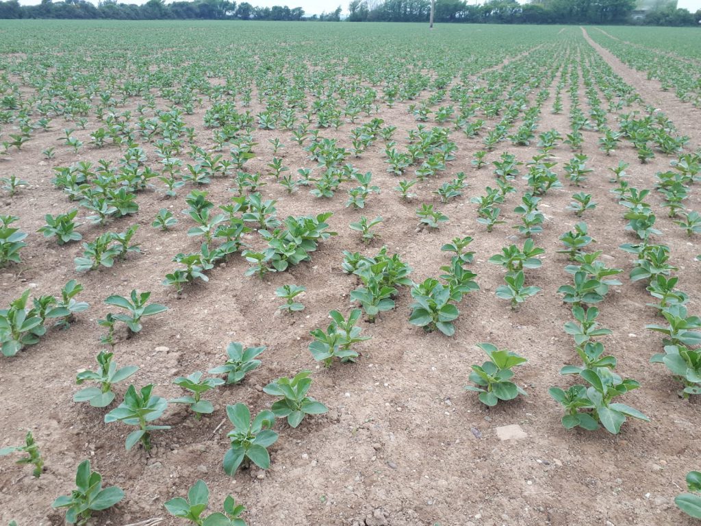 Image source: Tim Sheil